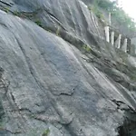 Peixoto 208